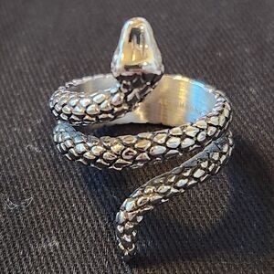 AU Theory Snake Ring Size 10